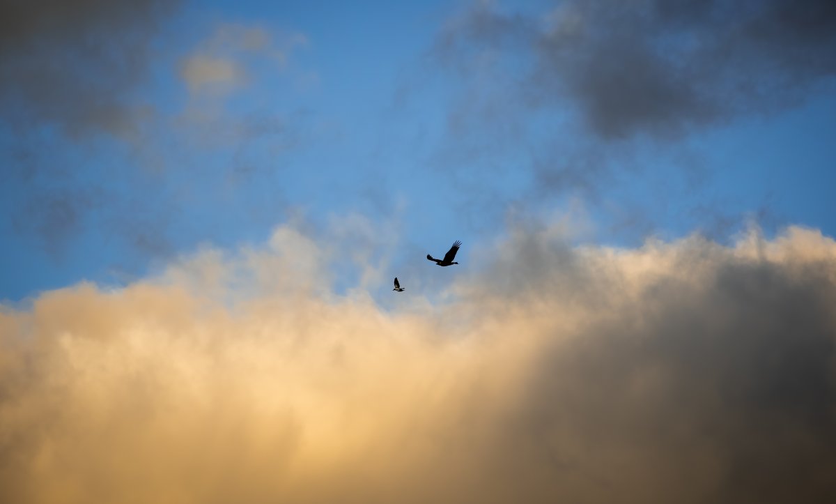 0Z1A3388-Edit