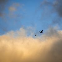 0Z1A3388-Edit