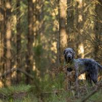 _V0A4760-Edit-2